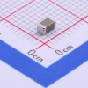 100uF ±20% 6.3V