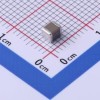 100uF 10V