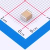 1uF ±10% 100V