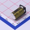 120uF ±20% 80V