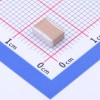 10uF ±10% 100V