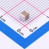 10uF ±10% 100V