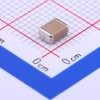 1uF ±10% 100V