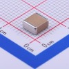 1uF ±10% 250V