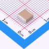 15uF ±10% 100V