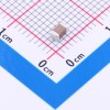 1uF ±10% 100V