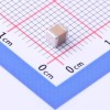 1uF ±10% 100V