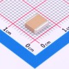 3.3uF ±10% 100V