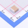 3.3uF ±10% 100V