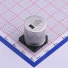 100uF ±20% 160V