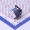 22uF ±20% 63V